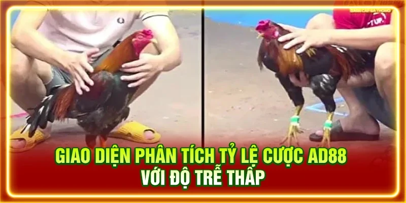 Giao diện phân tích tỷ lệ cược AD88 với độ trễ thấp