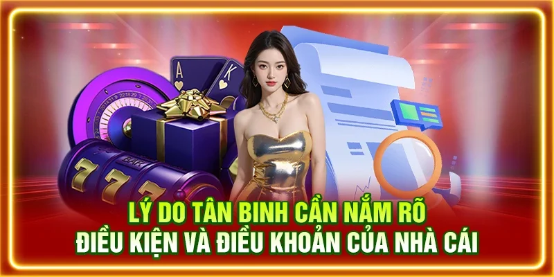 Lý do tân binh cần nắm rõ điều kiện và điều khoản của nhà cái