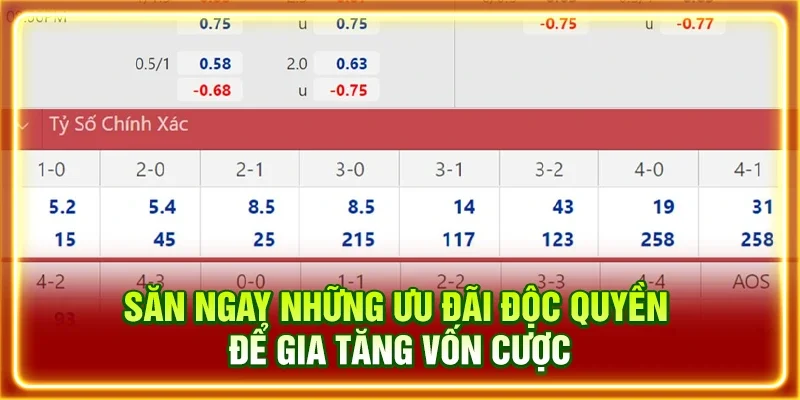 Săn ngay những ưu đãi độc quyền để gia tăng vốn cược